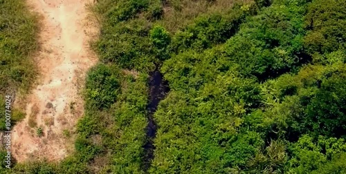 aerial video of forests and trees that are very large and far from residential areas