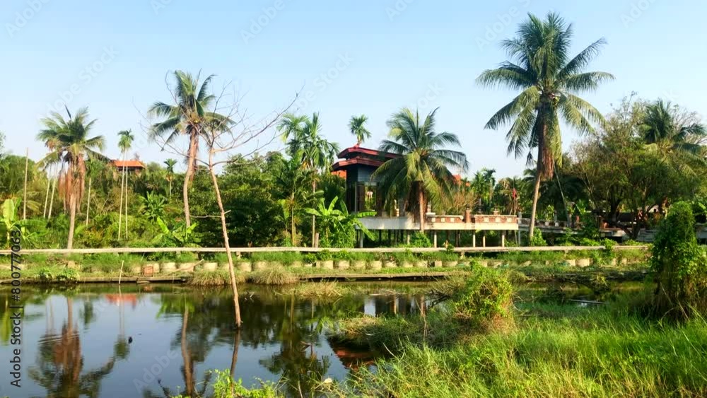 View of tropical river with palm trees and houses. River with houses among palm trees on Bang Krachao in Bangkok, Thailand. View of tropical river with palm trees and houses. River with houses among palm trees on Bang Krachao in Bangkok, Thailand.
