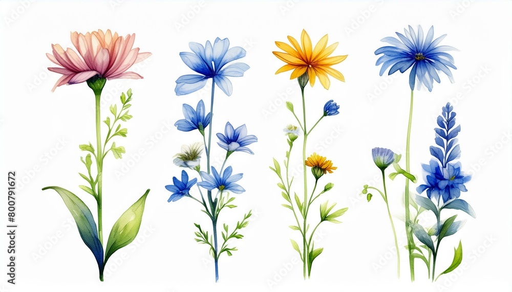 ブルー系の花 ブルー系の花