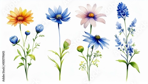 ブルー系の花
