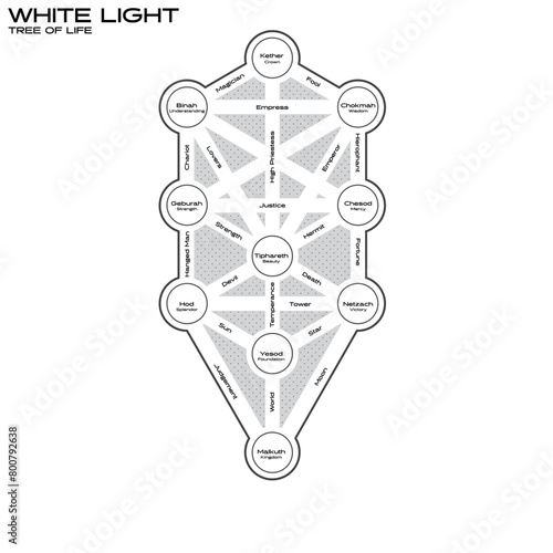 Canvas Print White Light Tree Of Life Diagram