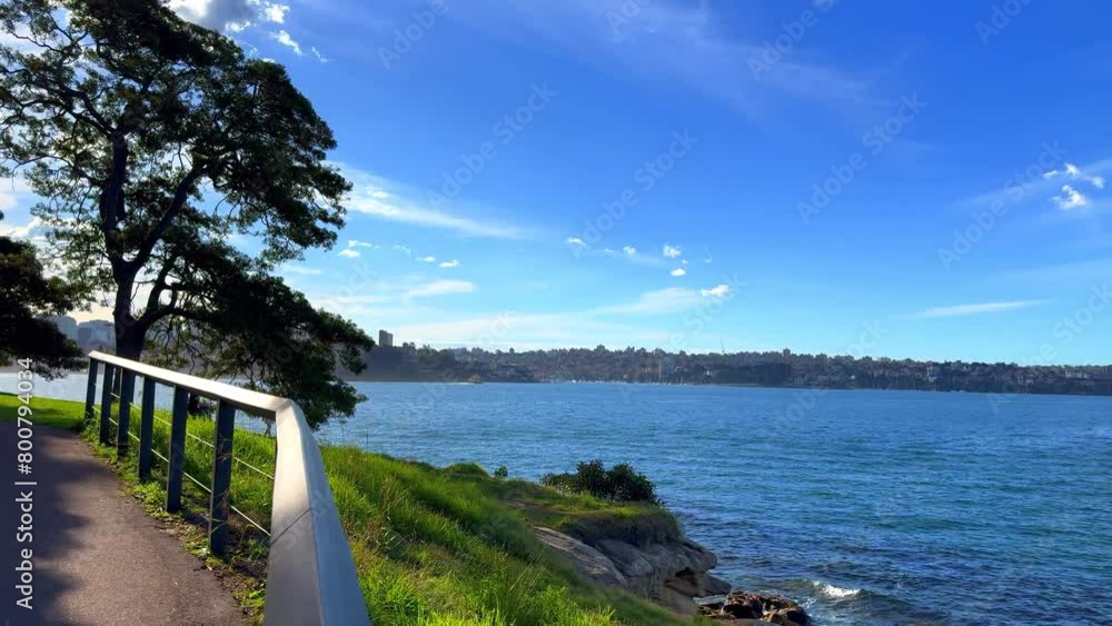 custom made wallpaper toronto digitalSydney Harbour forshore viewed from the Gardens in NSW Australia on a nice sunny and partly cloudy afternoon blue skies