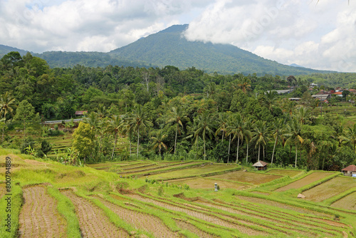 Batukaru mountain - Jatiluwih Rice Terraces, Bali, Indonesia © jerzy