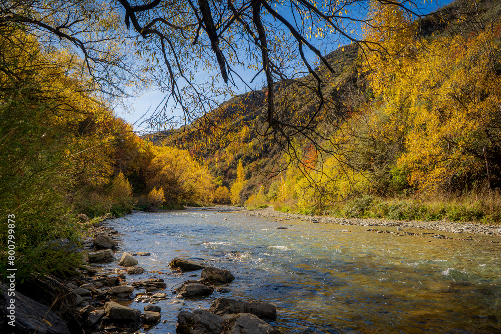 River in autumn forest near Arrowtown, New Zealand