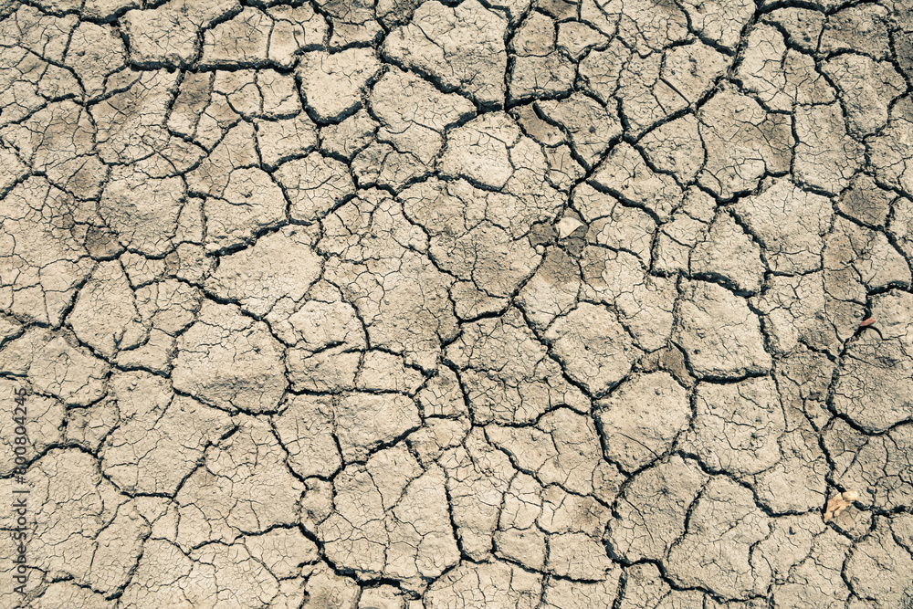 Land ground drought crisis environment.
