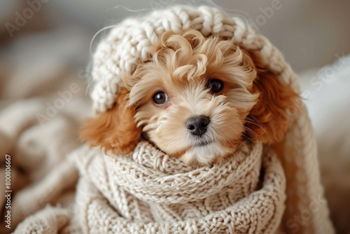A charming puppy dressed in a boho-chic ensemble, embracing the latest trends in the most heartwarming way