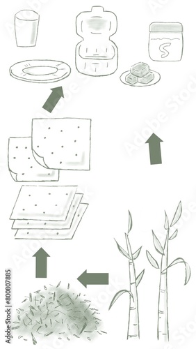 バガス(サトウキビの搾りカス)が紙皿や紙コップやランチボックスの容器になるまでの手描きイラスト