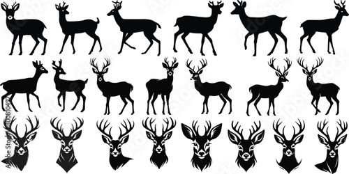 Roe deer silhouettes set vector illustrations