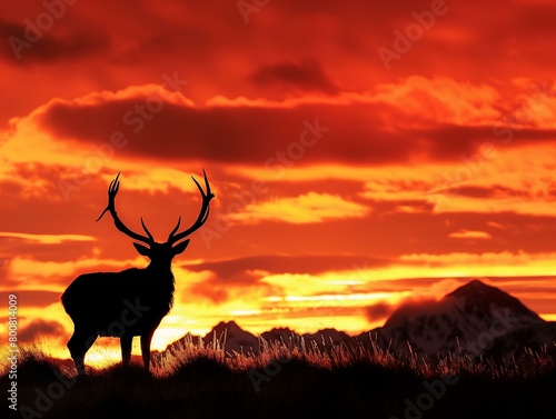 A majestic stag silhouetted against a fiery sunrise, with mist clinging to the valley below. © IQRAMULSHANTO