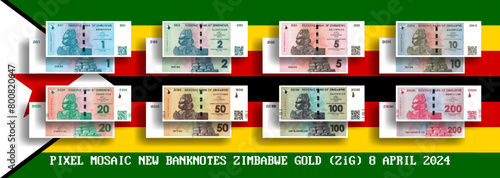 Vector set of pixel mosaic banknotes of Zimbabwe. Collection of notes in denominations of 1, 2, 5, 10, 20, 50, 100 and 200 ZiG Zimbabwe gold. Obverse and reverse. Play money or flyers. PART 2