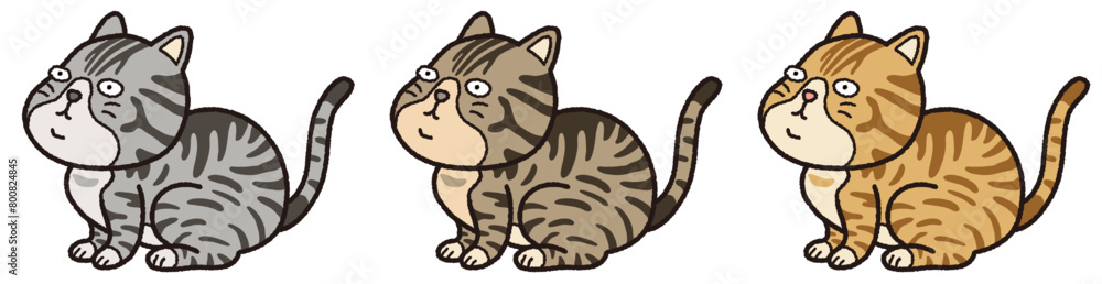 Fototapeta premium お座りするトラ猫