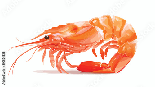 Tasty shrimp tail on white background Vector illustration