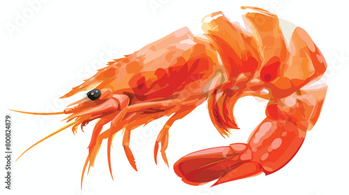 Tasty shrimp tail on white background Vector illustration