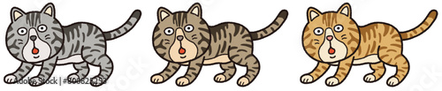 呼び止められたトラ猫