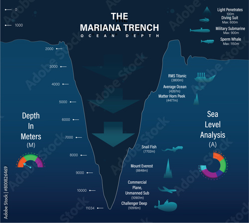 Vector mariana trench sea illustration, infographics or analysis, depth of ocean