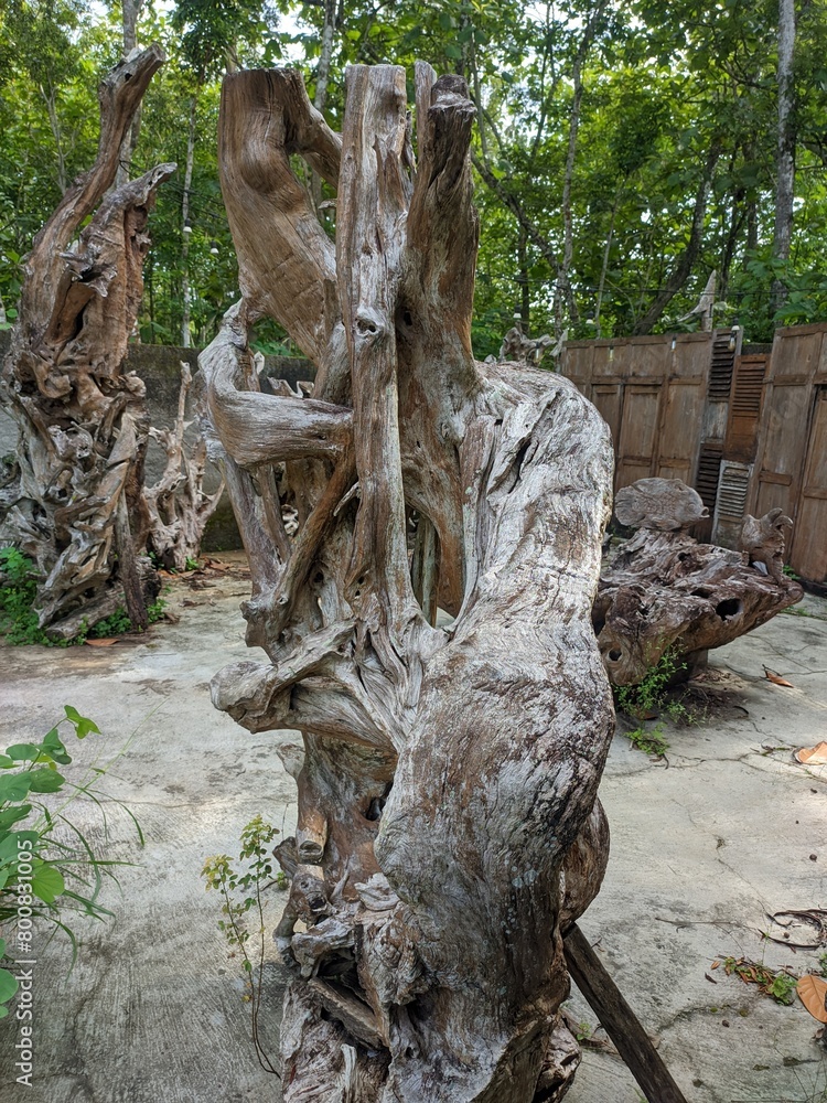 Obraz premium old teak wood