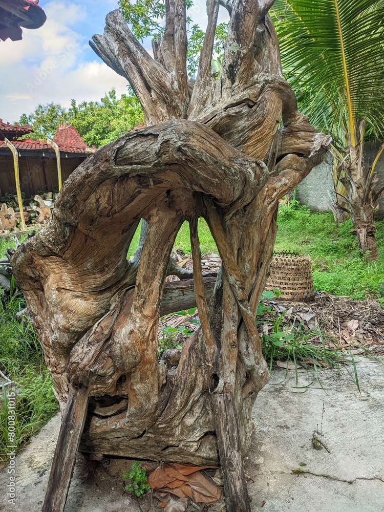 Obraz premium old teak wood