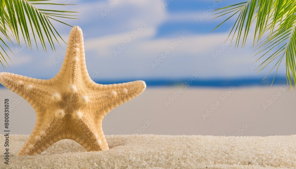 starfish on the beach.starfish on the beach.starfish, beach, sand, sea, summer, star, ocean, nature, water, shell, vacation, travel, coast, tropical, sky, animal, wave, fish, shore, seashore, aquatic starfish on the beach.starfish on the beach.starfish, beach, sand, sea, summer, star, ocean, nature, water, shell, vacation, travel, coast, tropical, sky, animal, wave, fish, shore, seashore, aquatic