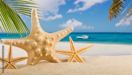 starfish on the beach.starfish on the beach.starfish, beach, sand, sea, summer, star, ocean, nature, water, shell, vacation, travel, coast, tropical, sky, animal, wave, fish, shore, seashore, aquatic photo