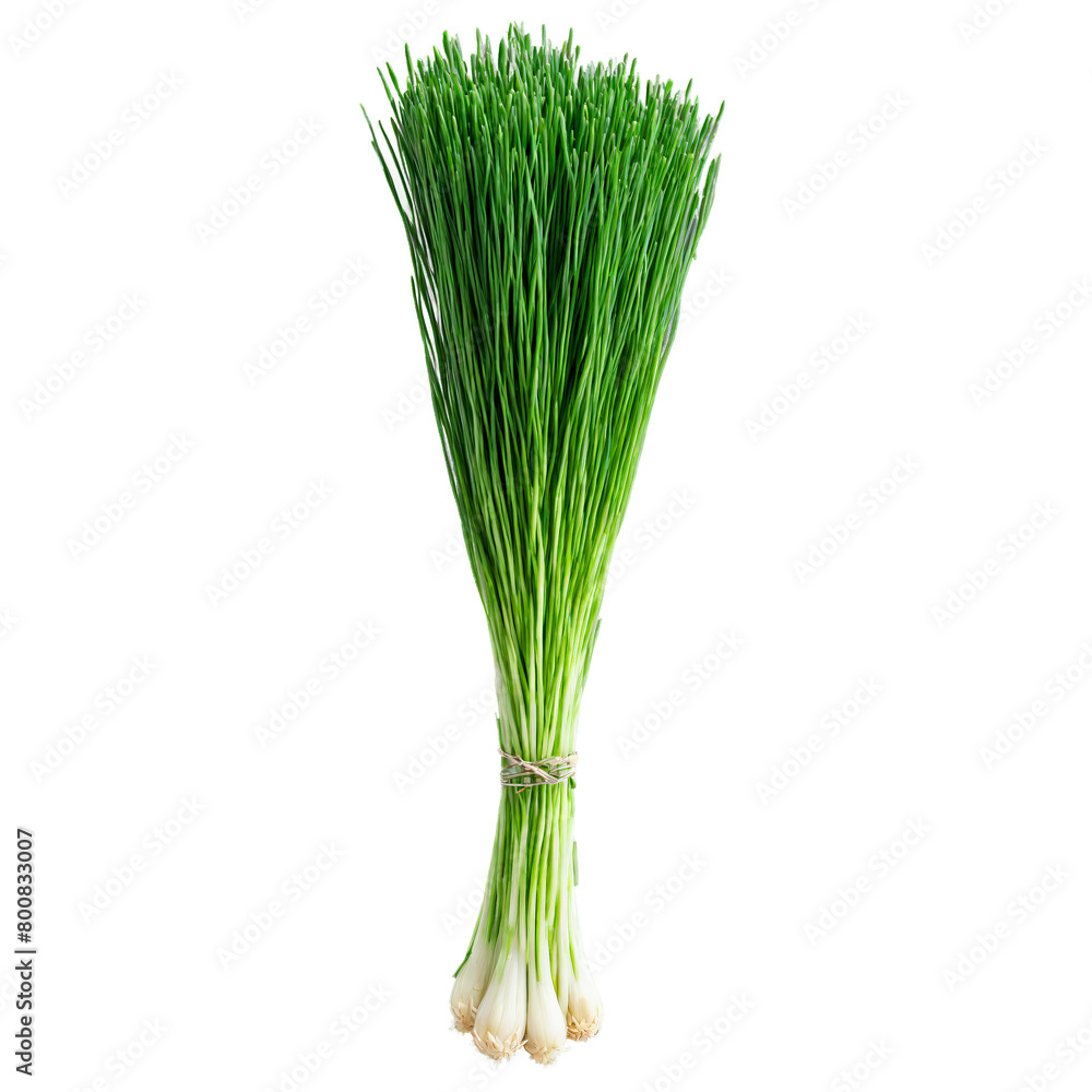 Fresh chives vibrant green color slender stems Food and culinary concept Fresh chives vibrant green color slender stems Food and culinary concept