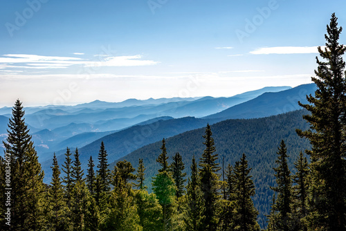 Blue mountain valley silhouettes with pine trees in the foreground, blue green scenic wilderness, natural vast beauty