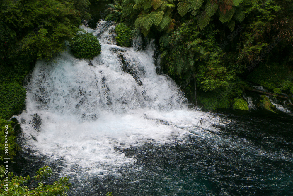 Fototapeta premium waterfall in the forest 