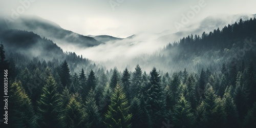 Misty forest with dare trees and rocks. Minimalistic scenery landscape. Generative AI  © MAhmad