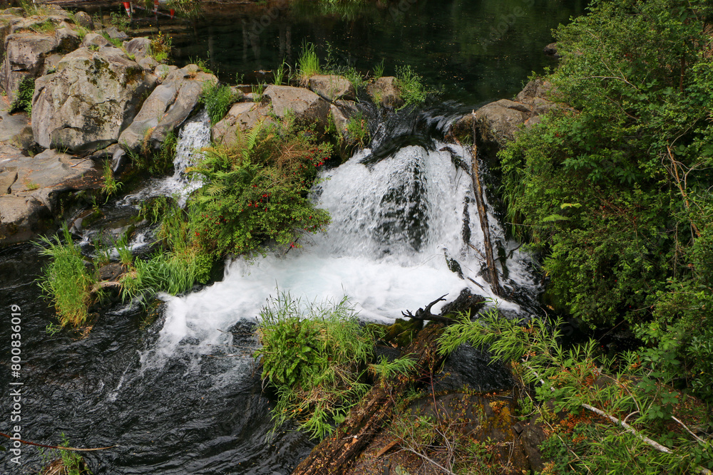 Naklejka premium waterfall in the forest 