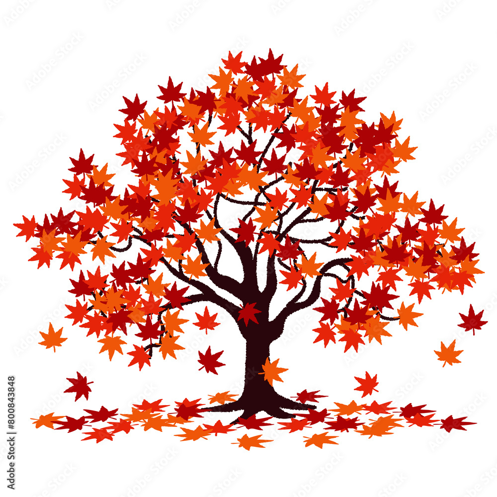 Fototapeta premium 紅葉の木のイラスト