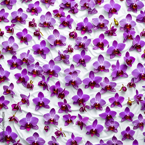 Many fresh purple orchids On a white background, smooth, clean sheets with separate patterns arranged on a white background, generated by AI.