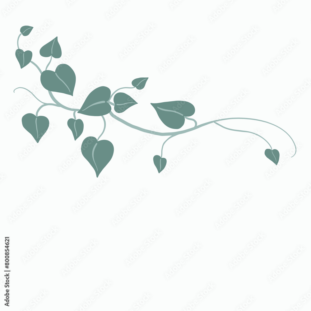 Obraz premium Floral ivy drawing decorative ornament flat design.