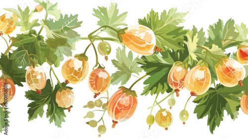 Ripe gooseberries on white background Vector illustration