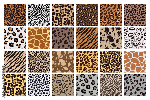 Animal print. Safari patterns, tiger skin texture. Wild giraffe, leopard zebra or jaguar fur, zoo stripes. Natural colors textile, wrapping paper, wallpaper. Print for fabric. Vector background