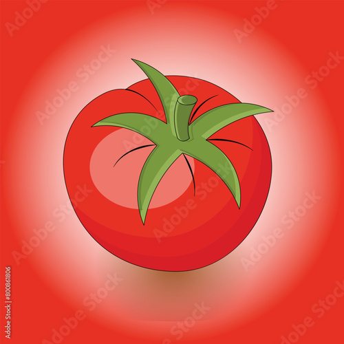  fresh tomatoes in flat style. healthy vegetable food, organic ripe fresh natural illustration