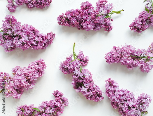 Brunch of  lilac  on a white background. Postcard  copy  background  top view. Festive  romantic concept  