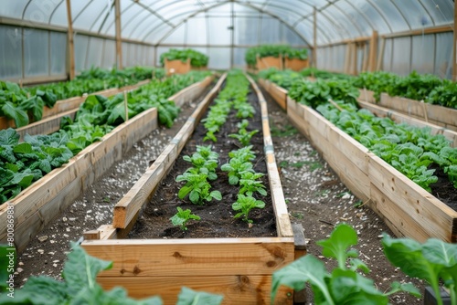 Greenhouse adjacent to raised beds with thermal tunnel for crop protection