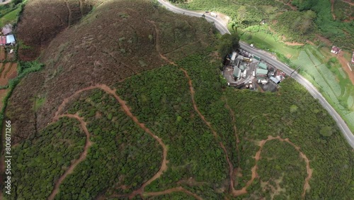 Aerial Top-Down View of Winding Dirt Paths On Lush Green Mountain in Sri Lanka photo