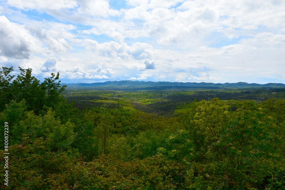 Obraz premium View of Kras plateau in Primorska, Slovenia