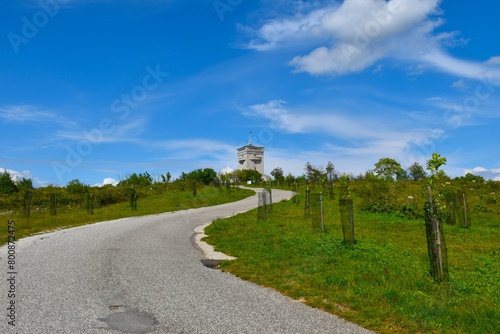 Asphlat road leading to Cerje at Kras in Primorska, Slovenia