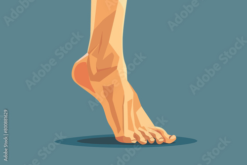 a simple flat illustration of an Ankle, vector graphics