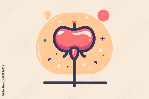 a simple flat illustration of an Bladder, vector graphics