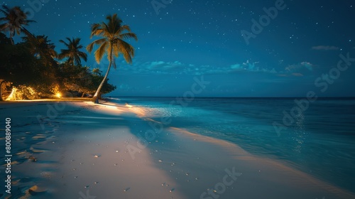 Tropical beach at night with palm trees and starry sky