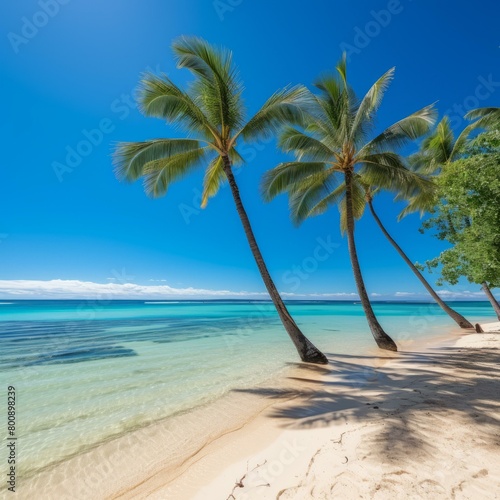 Beach with palm trees © Adobe Contributor