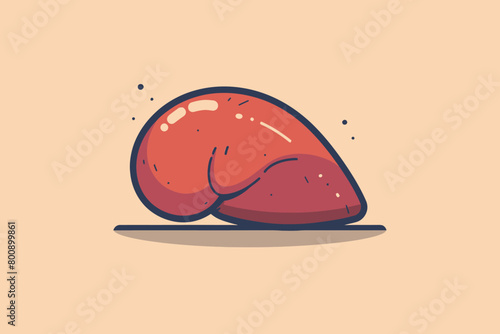 a simple flat illustration of an Liver, vector graphics