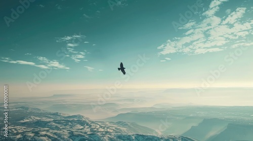 A captivating image of a lone bird soaring high above a vast landscape, symbolizing the search for freedom, perspective, and resilience on World Multiple Sclerosis Day.