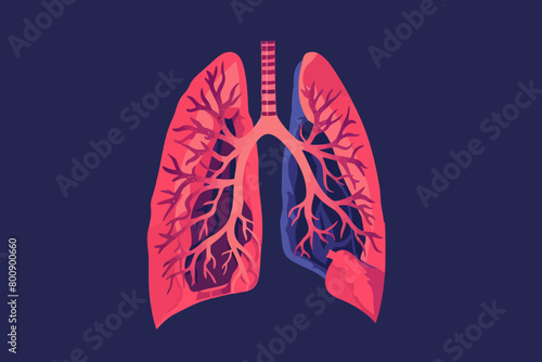 a simple flat illustration of an Lungs, vector graphics