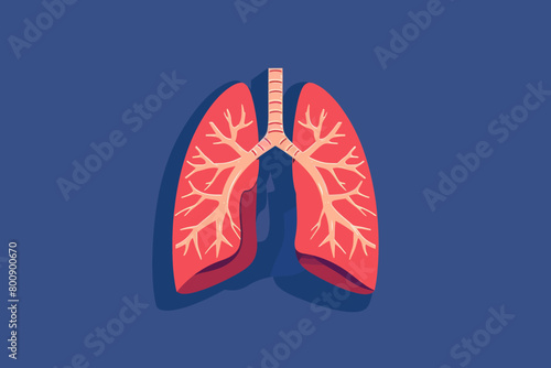 a simple flat illustration of an Lungs, vector graphics
