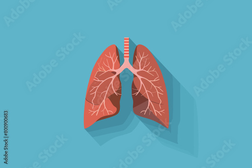 a simple flat illustration of an Lungs, vector graphics