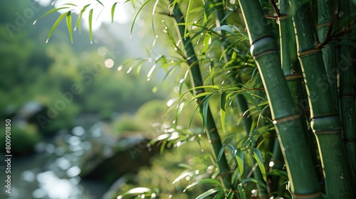 Honoring World Bamboo Day Festival. Generative Ai.