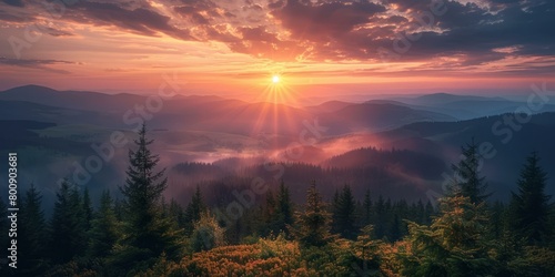 Beautiful mountain landscape with sunrise and coniferous forest